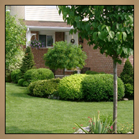 Landscaping After Thumbnail