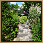 Landscaping Thumbnail Image 2